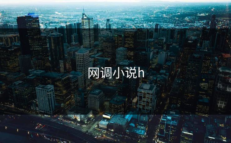 网调小说h