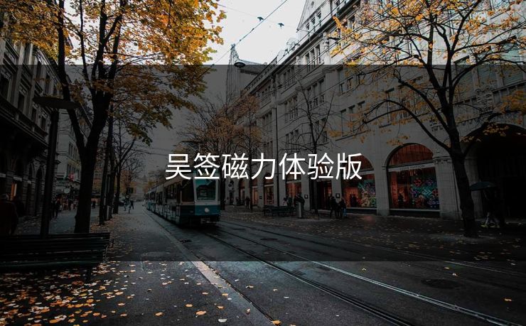 吴签磁力体验版