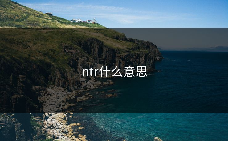 ntr什么意思